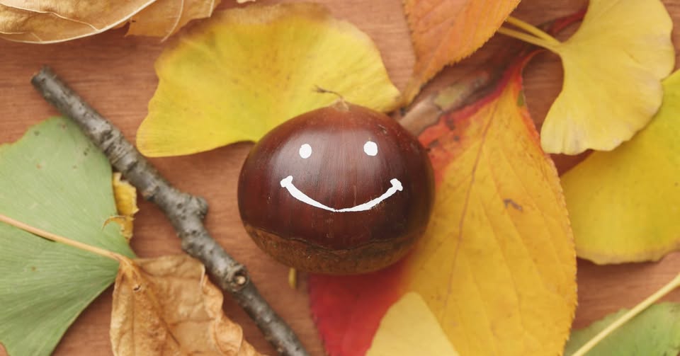 Őszi kincsekből vidám otthoni játékok!